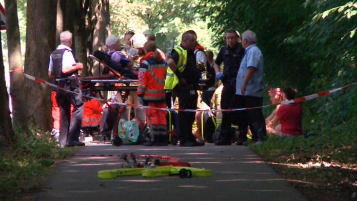 [Image: 1532113728991-696x392.png]