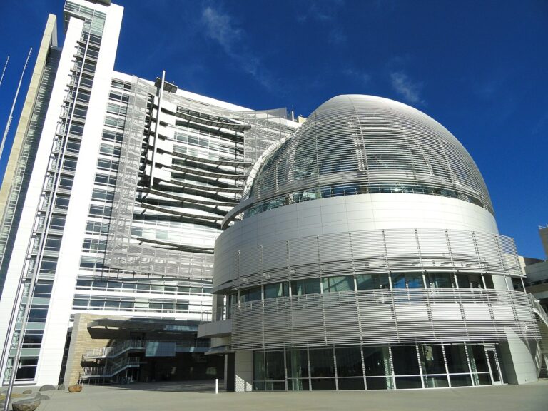 Nghị viên Biên Đoàn phơi bày sự thật về chủ tịch Triệu Hà