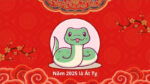Năm Ất Tỵ 2025 Nói Chuyện Rắn
