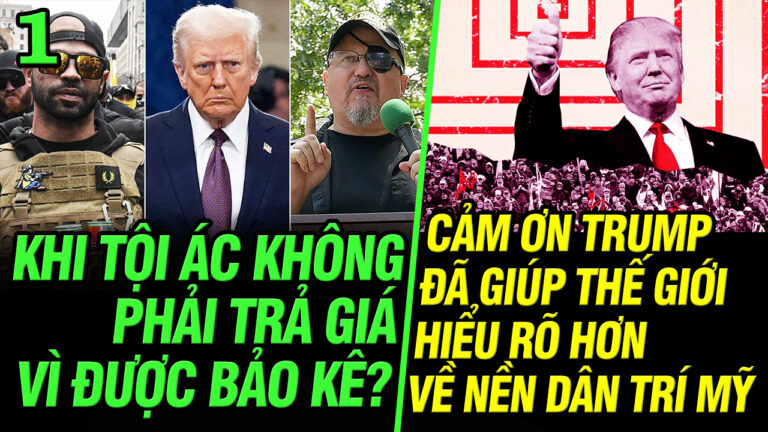 Khi tội ác không phải trả giá vì được bảo kê?