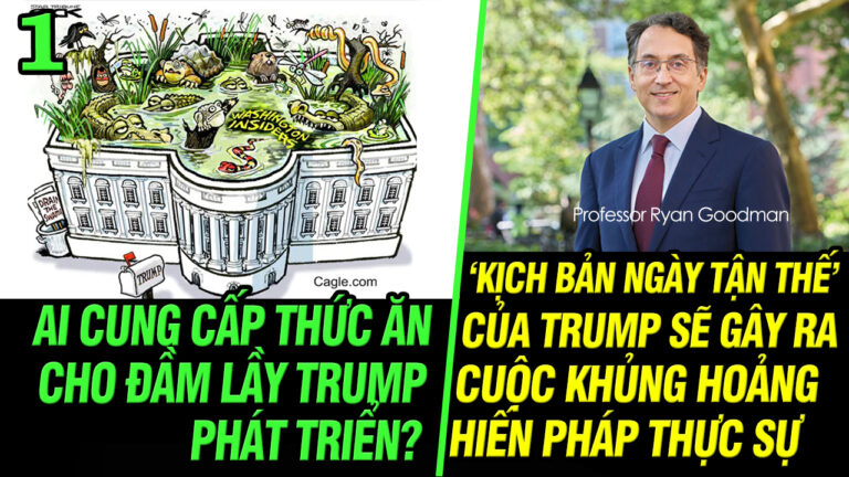 Ai cung cấp thức ăn cho đầm lầy Trump phát triển?