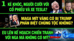 VL1-20.03: Kẻ khóc, người cười với cổ phiếu và xe Tesla?
