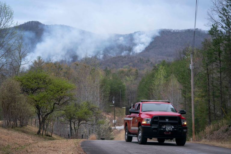 Thanh thiếu niên bị cáo buộc gây ra vụ cháy rừng lớn ở Nam Carolina sau khi không dập tắt thuốc lá