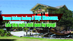Trong khủng hoảng ở Việt Museum, lóe lên một chòi non hy vọng!