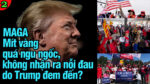 VL2-16.05: MAGA Mít vàng quá ngu ngốc, không nhận ra nỗi đau do Trump đem đến?