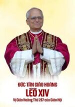 Danh sách tổng hợp 14 vị Giáo Hoàng đã chọn tông hiệu Leo, từ Leo I (Lêô Cả) đến Leo XIV