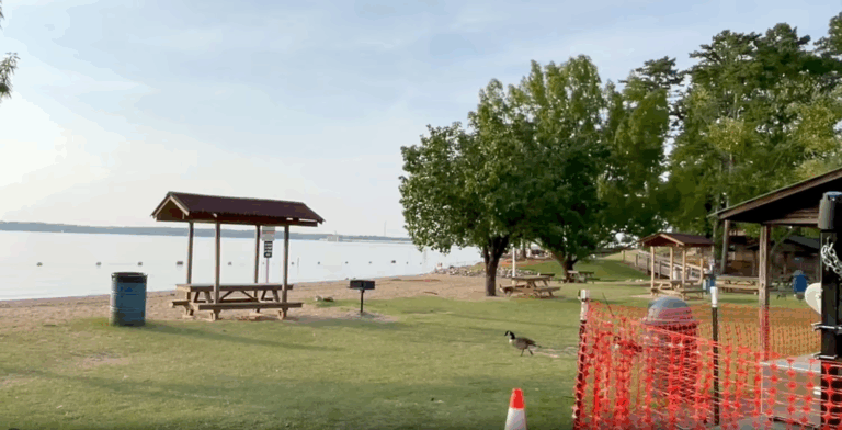 20 người bị thương do sét đánh khi đang bơi tại bãi biển ở South Carolina