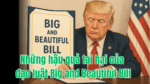 Những hậu quả tai hại của đạo luật Big and Beautiful Bill