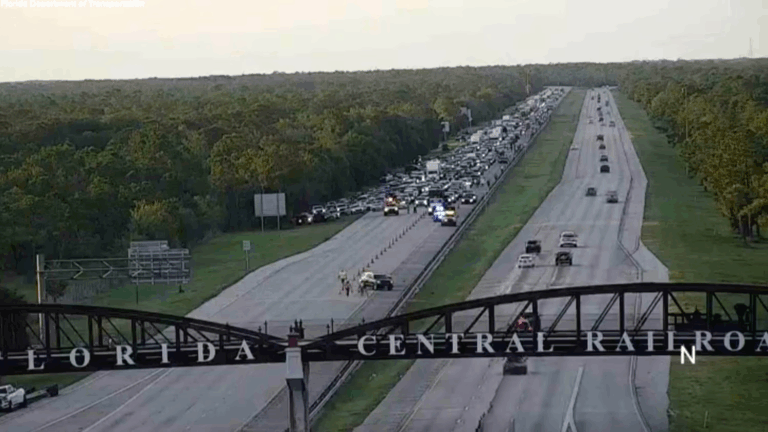 Người đàn ông thiệt mạng khi cố cứu rùa trên đường cao tốc ở Florida