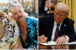 “Vua Hổ” Joe Exotic lại cầu xin được Trump ân xá