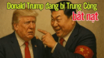 Donald Trump đang bị Trung Cộng bắt nạt!