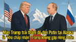 Màn Trump trải thảm đỏ đón Putin tại Alaska là “khó chấp nhận, Trump Không gặp riêng Putin