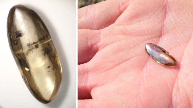 Gia đình Oklahoma tìm thấy viên kim cương nâu 3 carat tại công viên Arkansas