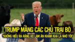 Trump mắng các chủ trại bò “không hiểu ra rằng họ làm ăn khấm khá là nhờ tôi,”