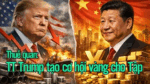 Thuế quan: TT Trump tạo cơ hội vàng cho Tập