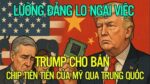LƯỠNG ĐẢNG LO NGẠI VIỆC TRUMP CHO BÁN CHIP TIÊN TIẾN CỦA MỸ QUA TRUNG QUỐC.
