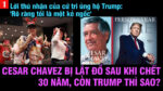 VL1-22.03: Lời thú nhận của cử tri ủng hộ Trump: ‘Rõ ràng tôi là một kẻ ngốc’