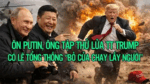 Ông Putin, ông Tập thử lửa TT Trump. Có lẽ Tổng thống “bỏ của chạy lấy người“