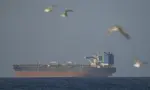 Hormuz dậy sóng, tàu Việt phải “xin đường”