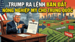 TRUMP RA LỆNH BÁN ĐẤT NÔNG NGHIỆP MỸ CHO TRUNG QUỐC
