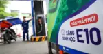XĂNG E10 LÊN NGÔI, RON95 DẦN BIẾN MẤT