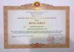ĐẤU TỐ THỜI HIỆN ĐẠI