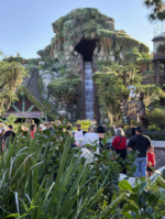 Bất ngờ nhảy khỏi tàu trò chơi tại Disneyland, một thiếu niên lao xuống thác nước cao 15 mét
