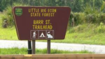 Florida: Người phụ nữ tử vong sau khi bị cá sấu cắn đứt lìa cánh tay trên sông