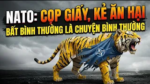 NATO con Cọp giấy, kẻ ăn hại. Bất bình thường là chuyện bình thường