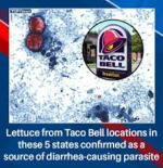 Xác nhận xà lách tại Taco Bell thuộc 5 bang là nguồn lây nhiễm ký sinh trùng gây tiêu chảy