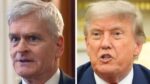 Ứng viên y tế của Trump bị chất vấn về những lời dối trá.