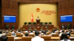 Sửa luật đất đai: gỡ điểm nghẽn, nhưng người có đất có thể thêm rủi ro