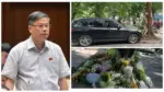 Vụ Nguyễn Sỹ Cương: kết luận đã rõ, nhưng dư luận vẫn dậy sóng