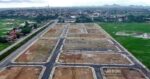 Phú Thọ: 36.200 m2 trên giấy, 264.844 m2 ngoài thực địa