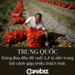 TRUNG QUỐC: SIẾT PHÂN BÓN, ĐE DỌA AN NINH LƯƠNG THỰC HOA KỲ
