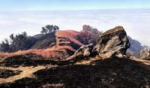 Big Sur: Điều tra nguyên nhân vụ cháy Timber Fire