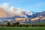 California tăng phí bảo hiểm FAIR Plan từ 15/10: Khu vực nguy cơ cháy rừng chịu mức tăng mạnh nhất