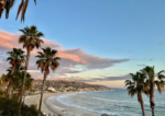 Người Mỹ thích chê bai California, nhưng khảo sát mới cho thấy ai cũng muốn đến sống