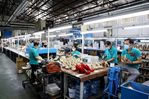 Hơn 40.000 doanh nghiệp “biến mất” trong tháng. Kinh tế đang ngột thở