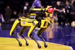 ICE sẽ chi 2 triệu đô la cho chó robot để trấn áp nạn nhập cư bất hợp pháp.