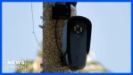 Người phụ nữ ngồi tù oan 13 ngày vì dữ liệu camera Flock