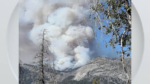 Cháy rừng Dome Fire thiêu rụi hơn 1.100 mẫu Anh tại Công viên Quốc gia Yosemite
