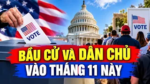 Bầu cử và Dân chủ vào tháng 11 này