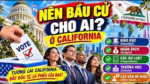 Nên bầu cử cho ai và cho cái gì?