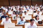 Đề nghị cho người chưa thành niên hiến mô: nhân đạo hay áp lực?